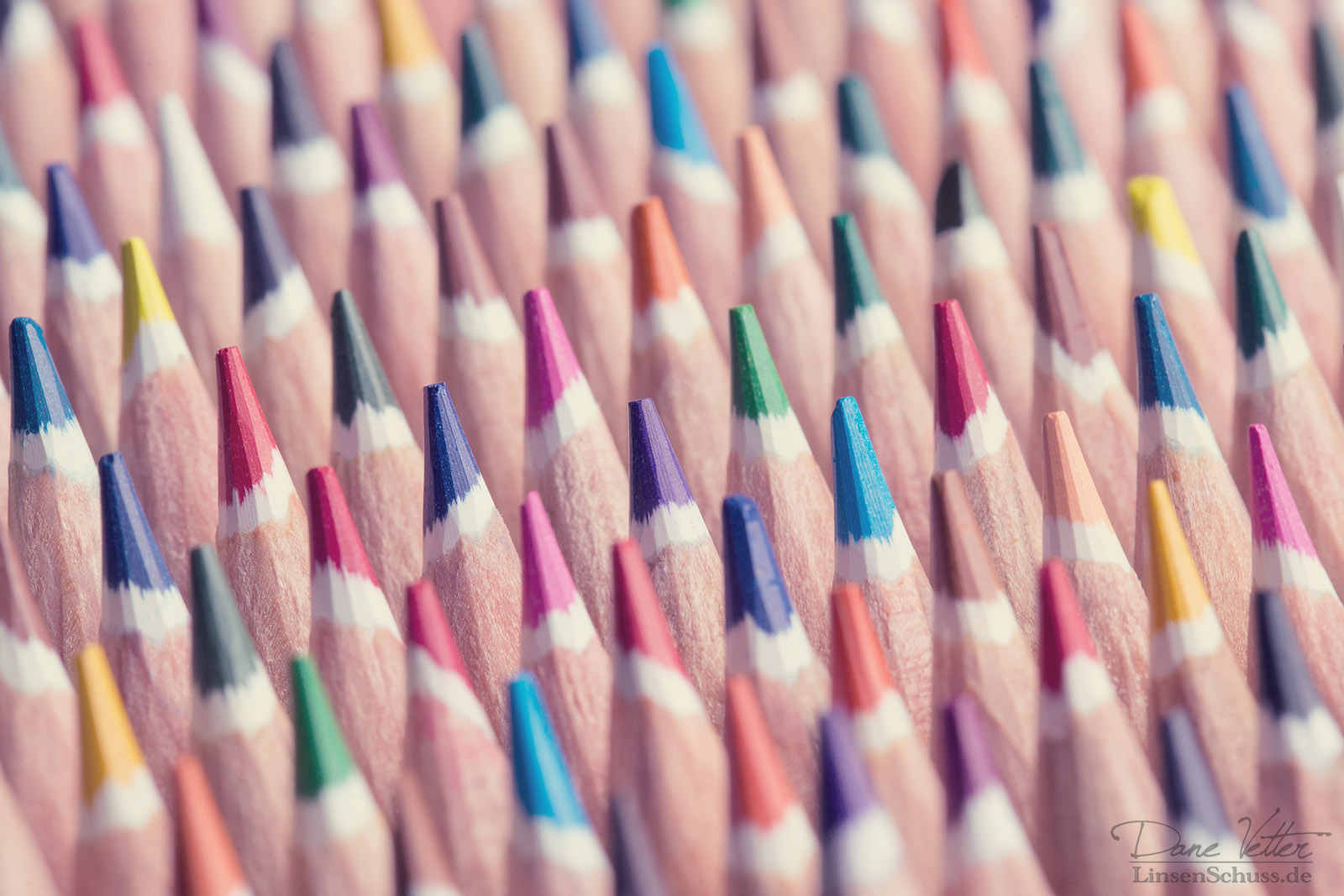 The Soldiers of the Colors